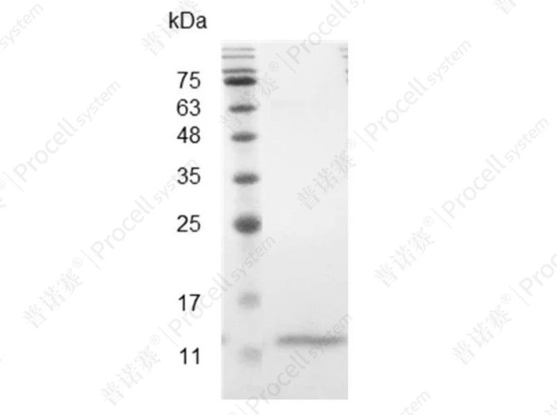 https://789.bio/ec/xaLxiD