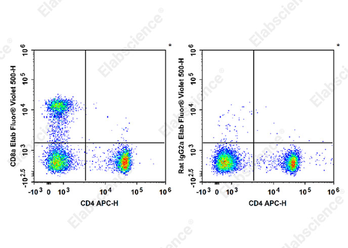 Elab Fluor® Violet 500 Anti-Mouse CD8a Antibody[53-6.7]-1