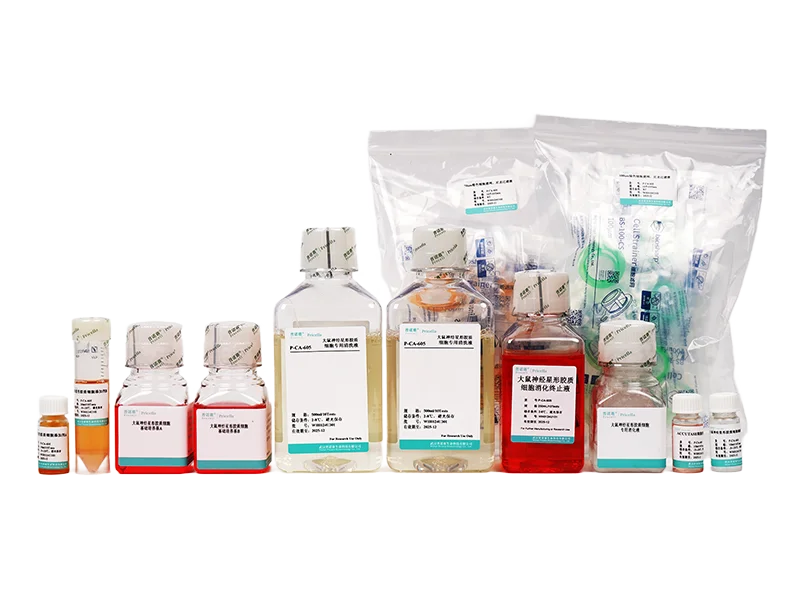 https://789.bio/ec/xeuqLG