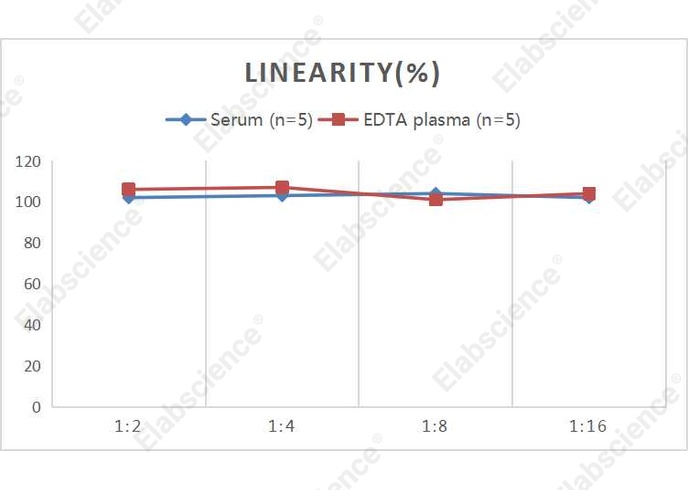 QuicKey Pro Human HTRA1 (HtrA Serine Peptidase 1) ELISA Kit - 2