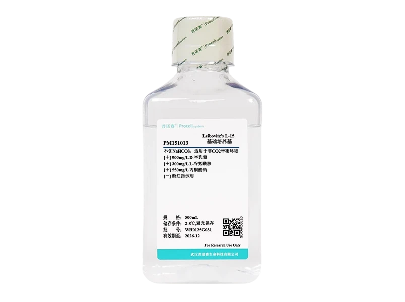 https://789.bio/ec/xiSv2zYp
