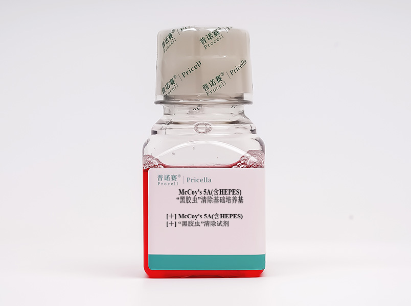 https://789.bio/ec/xiuLZ5