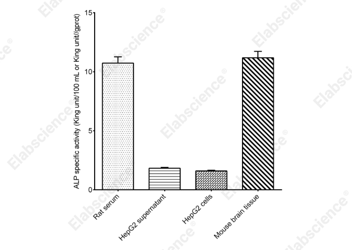 Alkaline Phosphatase (ALP) Activity Assay Kit - 2