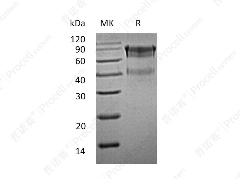 https://789.bio/ec/xmu9O0