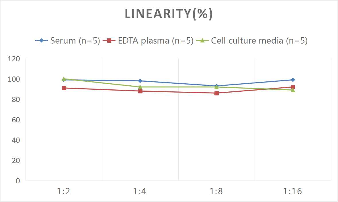 Rat TNF-α(Tumor Necrosis Factor Alpha) ELISA Kit-产品推荐-4
