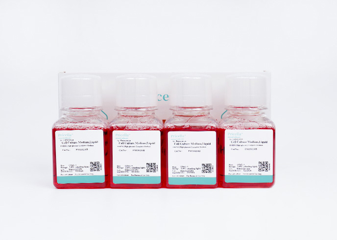 SCC-4 Cell Complete MediumSCC-4 Cell Complete Medium - 2