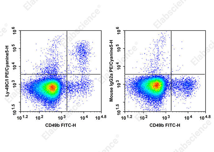 PE/Cyanine5 Anti-Mouse Ly-49C/I Antibody[5E6]-searchlist-1