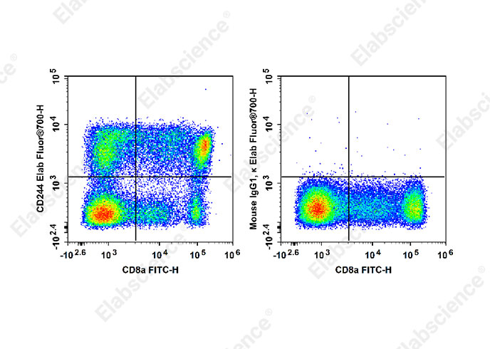 Elab Fluor® 700 Anti-Human CD244 Antibody[C1.7]-1