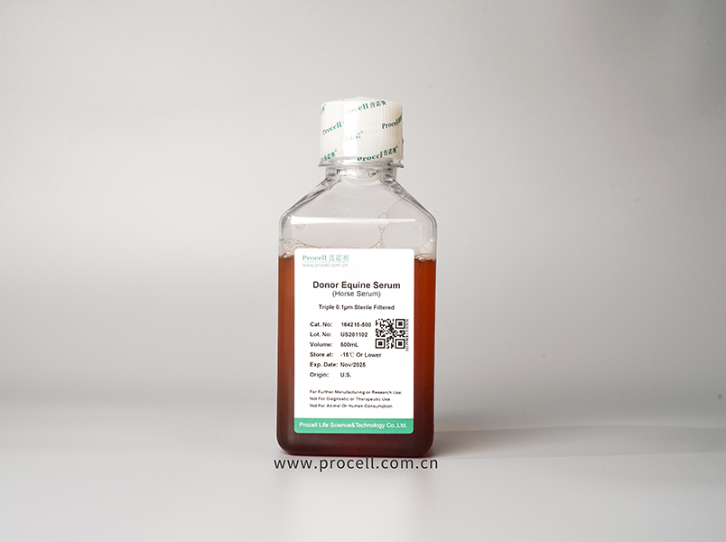 https://789.bio/ec/xyuWyP