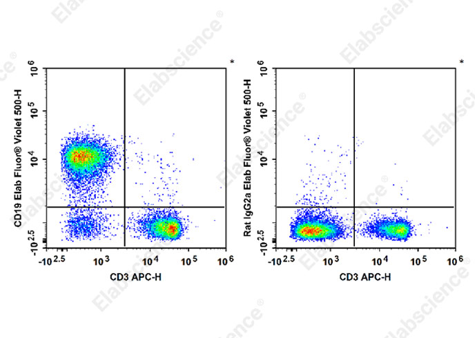 Elab Fluor® 647 Rat IgG2a, λ Isotype Control[B39-4]-产品推荐-1