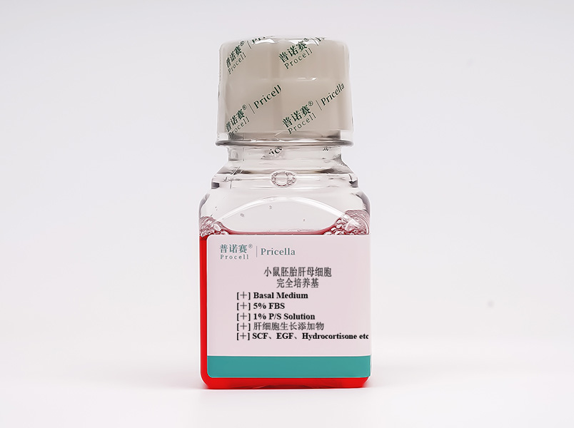 https://789.bio/ec/y1RZLG