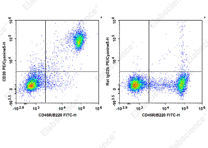 Purified Anti-Human FOLR1 Antibody[LK26]-产品推荐-1