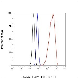 Recombinant ILF3 Monoclonal Antibody - small - 12