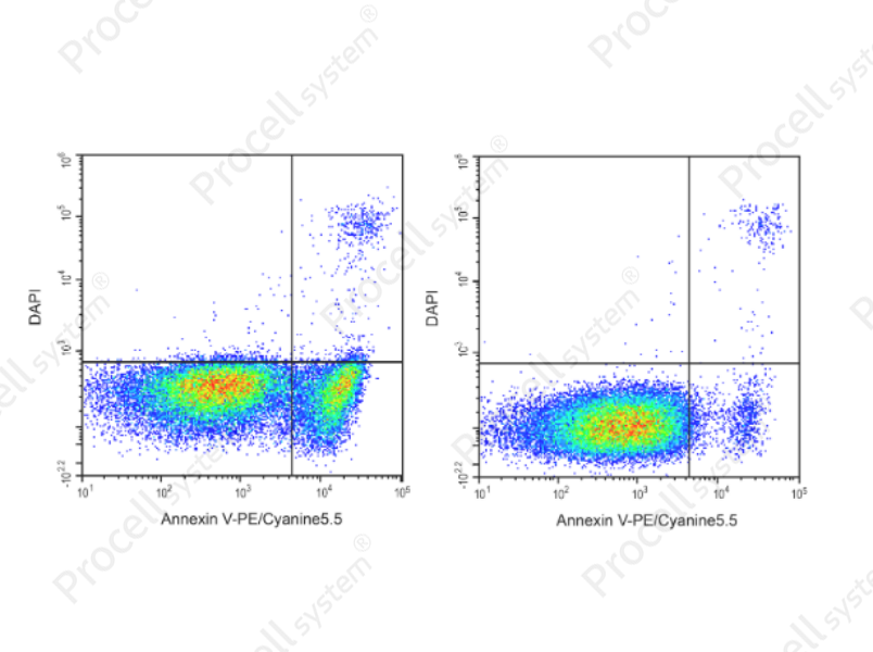 Annexin V-PE/Cyanine5.5/DAPI Apoptosis Kit