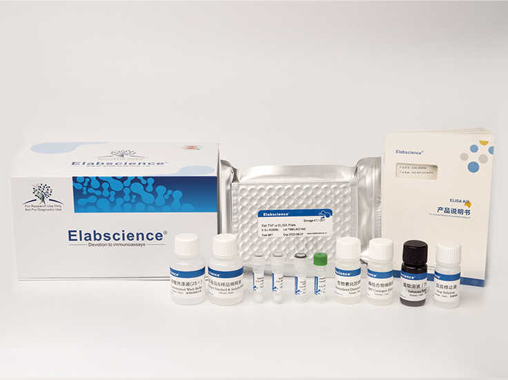 人二级淋巴组织趋化因子(SLC)酶联免疫吸附测定试剂盒（E-EL-H0028）-Elabscience伊莱瑞特