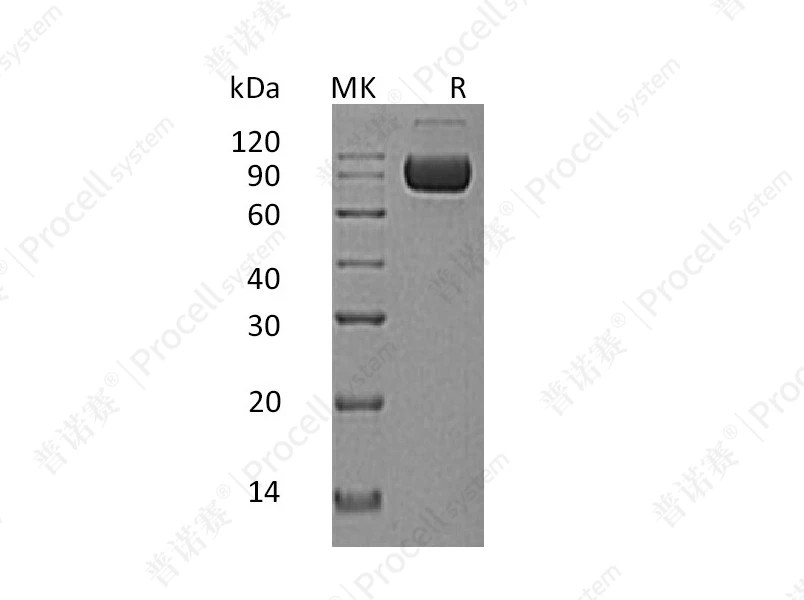 https://789.bio/ec/y5VWeL