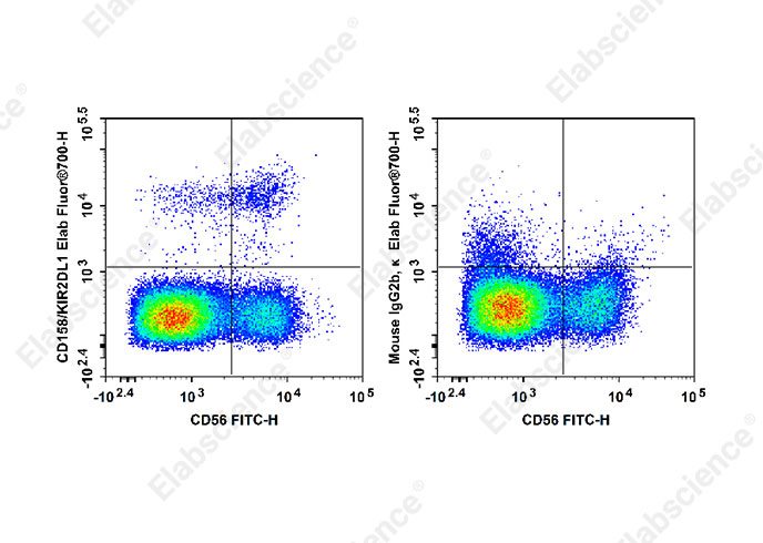 Elab Fluor® 700 Anti-Human CD158/KIR2DL1 Antibody[HP-MA4]-1