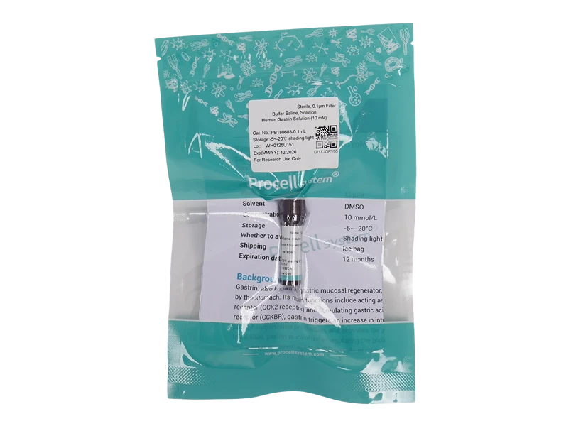 Human Gastrin Solution (10 mM)