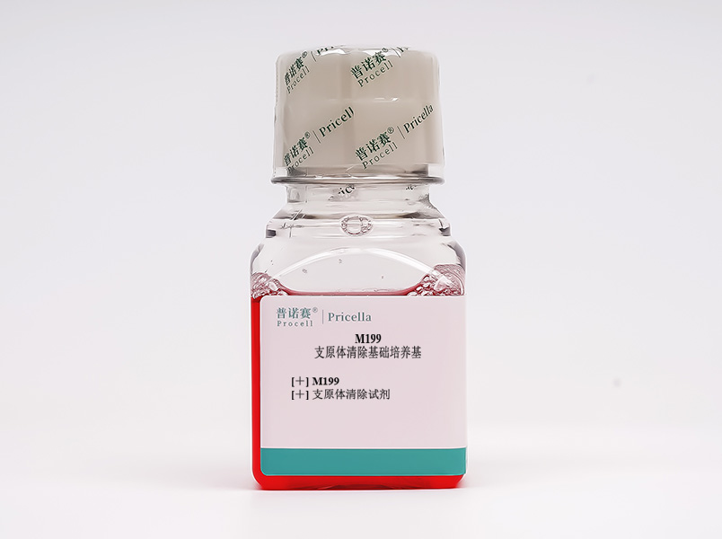 https://789.bio/ec/y9hDGG