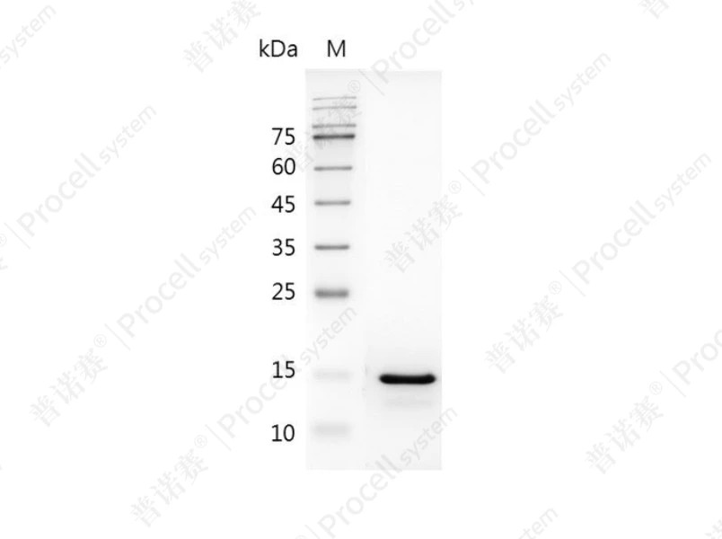 https://789.bio/ec/y9xHx1