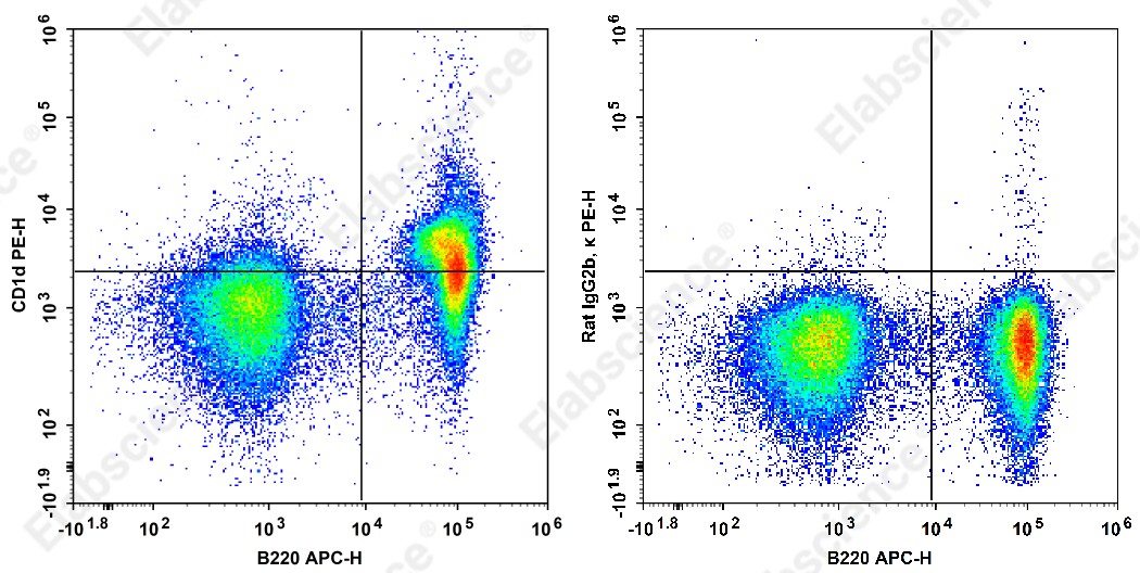 PE Anti-Mouse CD1d Antibody[1B1] - 1