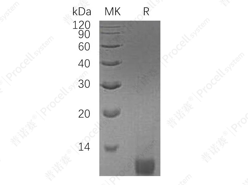 https://789.bio/ec/yD0CpS