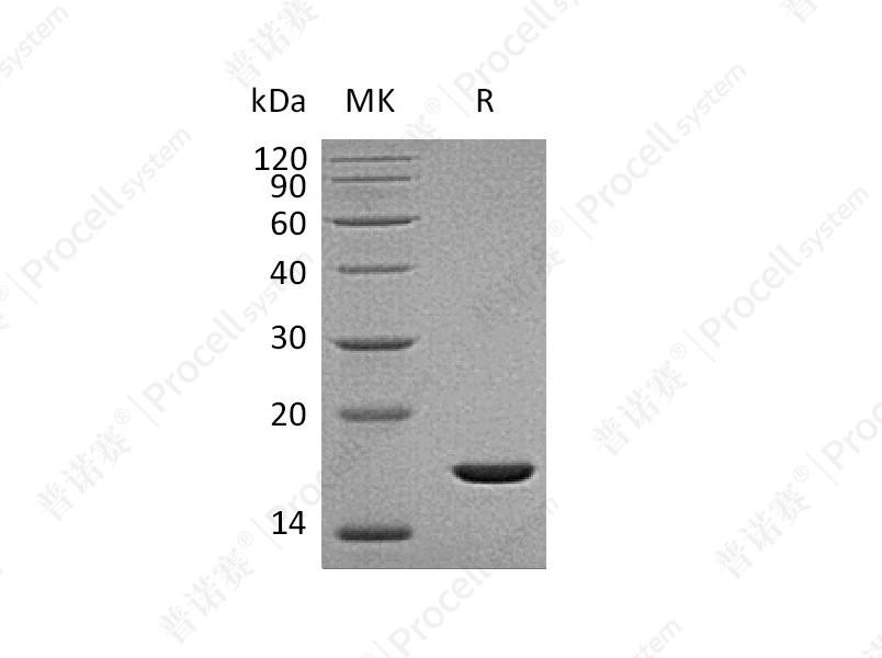 https://789.bio/ec/yDRKGO