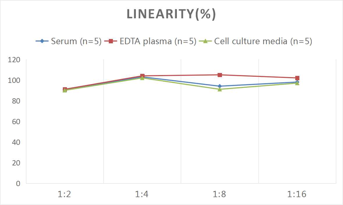 High Sensitivity Rat TNF-α(Tumor Necrosis Factor Alpha) ELISA Kit-产品推荐-5