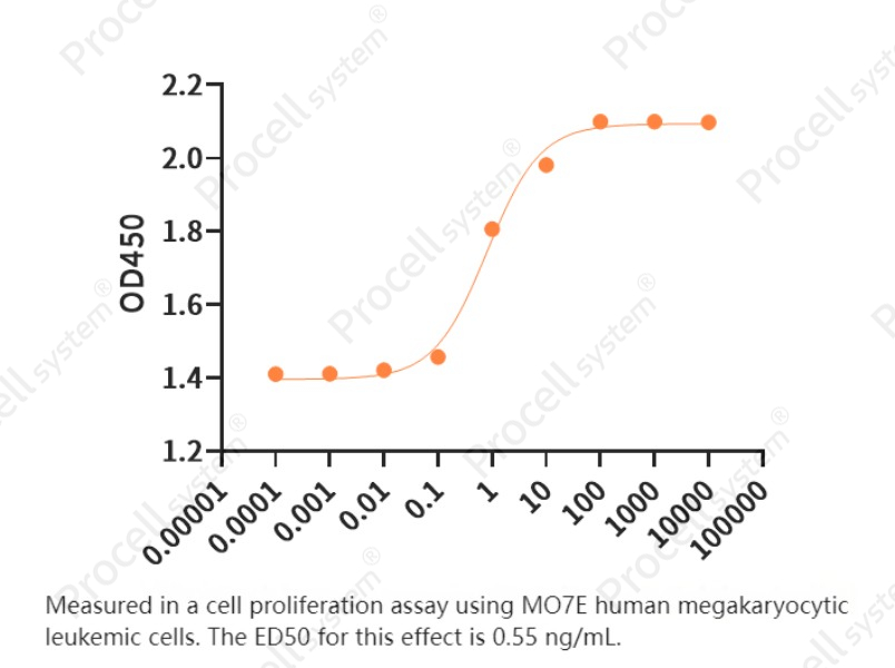 TPO/THPO (N, C-6His), Human, RecombinantTPO/THPO (N, C-6His), Human, Recombinant - 2