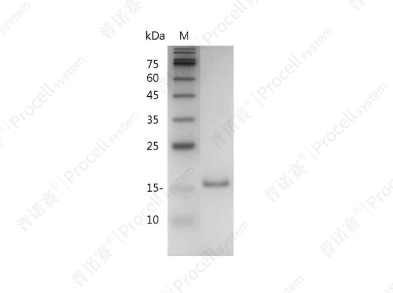 https://789.bio/ec/yHl1xS