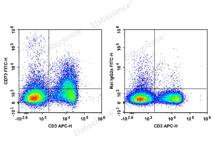 FITC Anti-Mouse CD73 Antibody[TY/23]-1