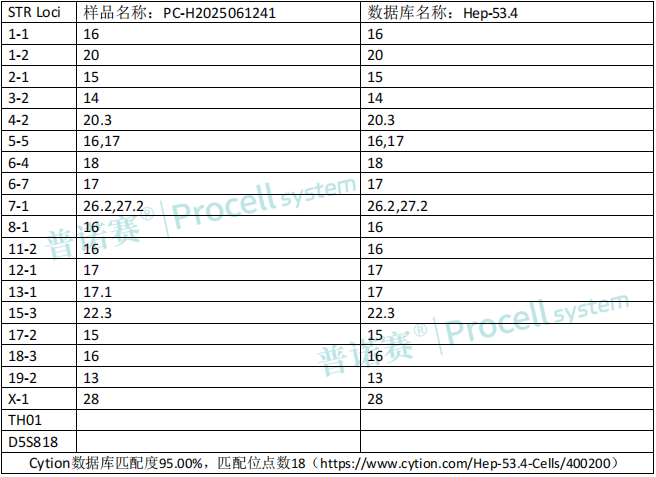 photo1