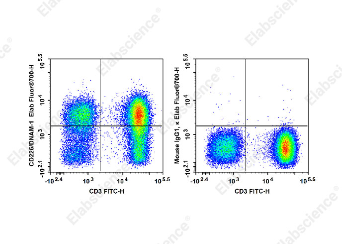Elab Fluor® 700 Anti-Human CD226/DNAM-1 Antibody[11A8]-1