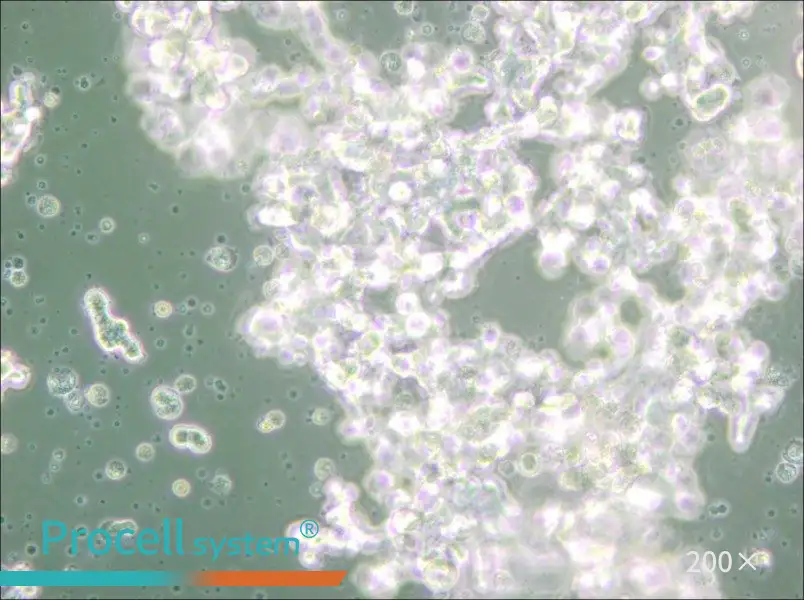 DU4475 Cell Complete Medium - small - 6