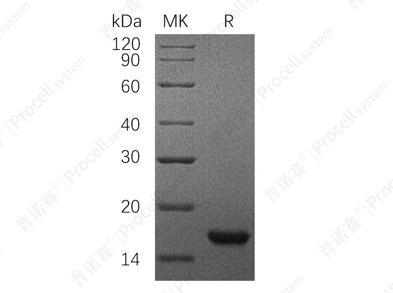 https://789.bio/ec/yLxmP8