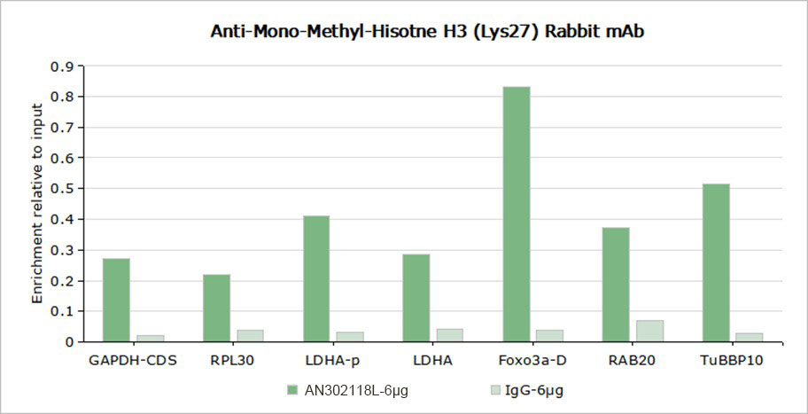 Recombinant Hisotne H3 (Mono Methyl Lys27) Monoclonal Antibody - small - 6