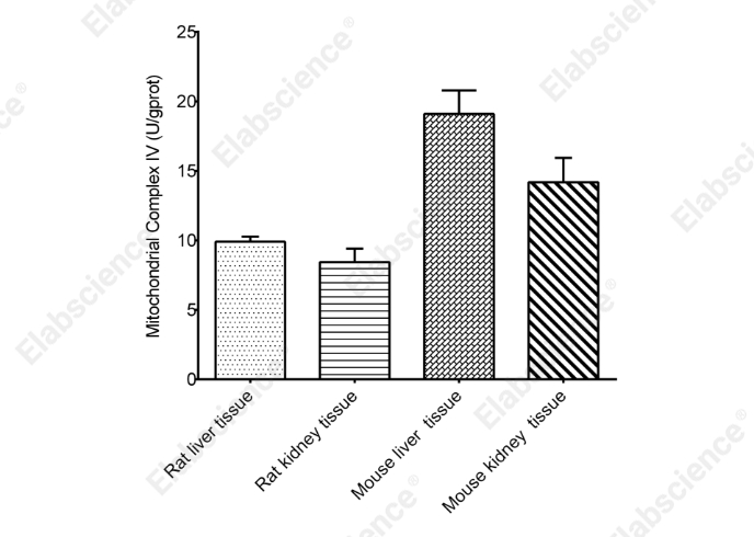 Mitochondrial Complex IV (Cytochrome C Oxidase ) Activity Assay Kit - 1