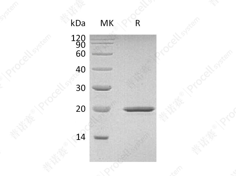 https://789.bio/ec/yS80RK