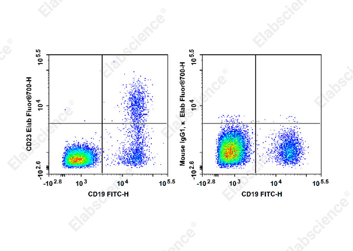 Elab Fluor® 700 Anti-Human CD23 Antibody[EBVCS2]-1