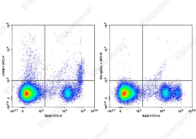 APC Anti-Mouse LPAM-1 Antibody[DATK32]-1