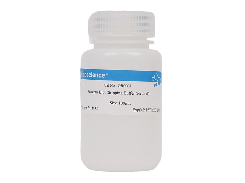 Western Blot Stripping Buffer (Neutral)