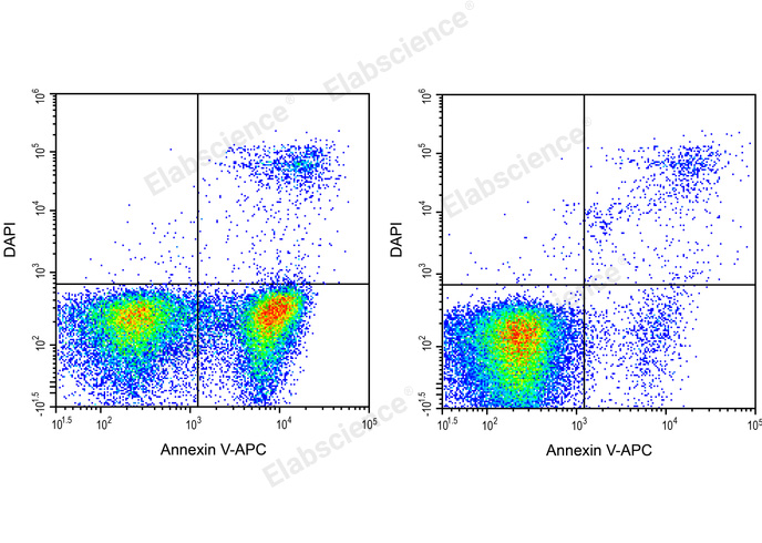 DAPI Reagent (25μg/mL)-产品推荐-4
