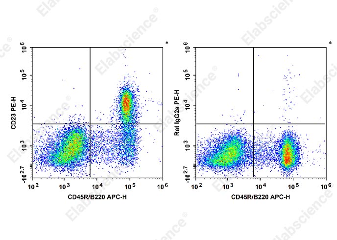 PE Anti-Mouse CD23 Antibody[B3B4]-1