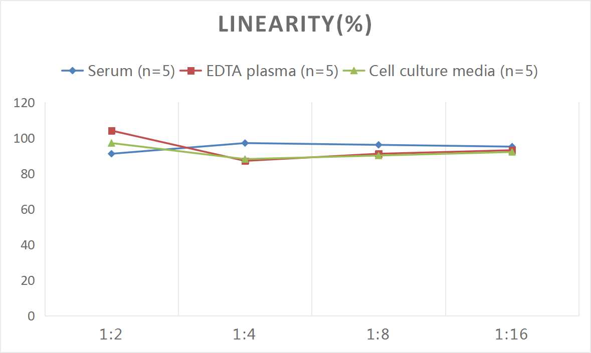 Rat TNF-α(Tumor Necrosis Factor Alpha) ELISA Kit-产品推荐-5