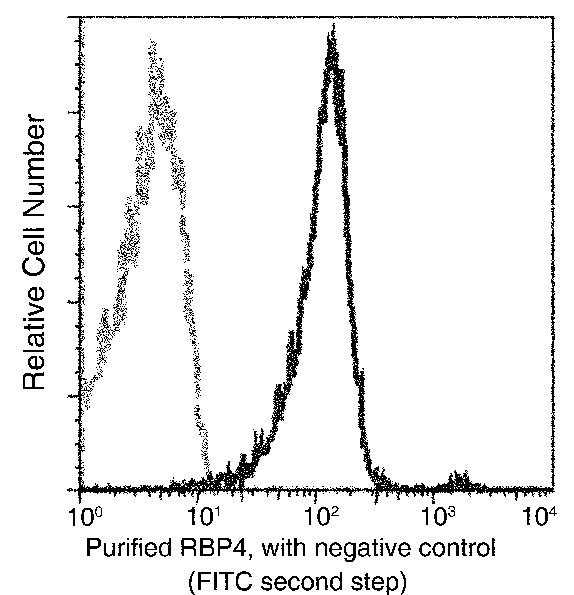 Recombinant RBP4 Monoclonal Antibody-searchlist-1