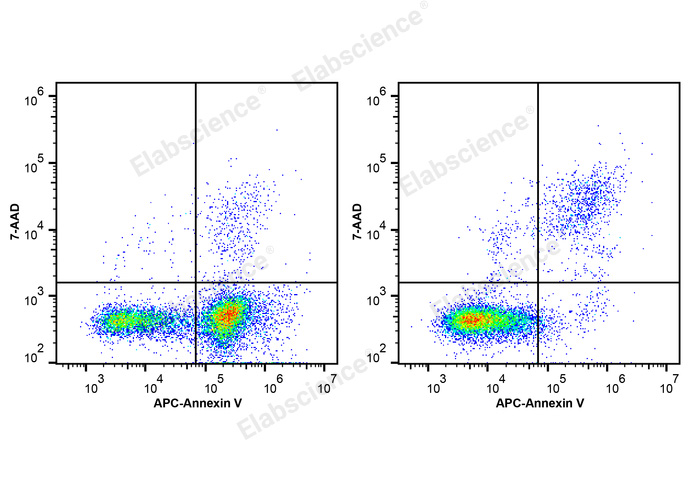 Annexin V-APC/7-AAD Apoptosis Kit-1