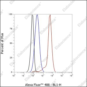 Recombinant Ataxin-3 Monoclonal Antibody - 6