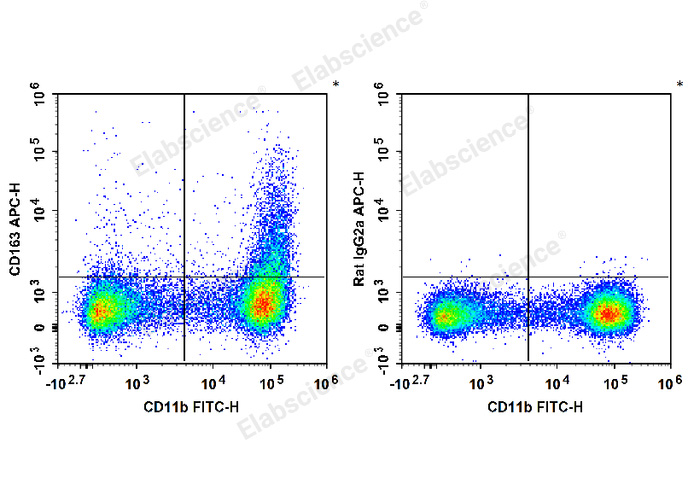 C57BL/6 murine bone marrow cells are stained with FITC Anti-Mouse/Human CD11b Antibody and APC Anti-Mouse CD163 Antibody (Left). Bone marrow cells are stained with FITC Anti-Mouse/Human CD11b Antibody and APC Rat IgG2a,κ Isotype Control (Right).