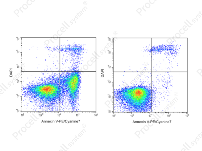 Annexin V-PE/Cyanine7/DAPI Apoptosis KitAnnexin V-PE/Cyanine7/DAPI Apoptosis Kit - 1