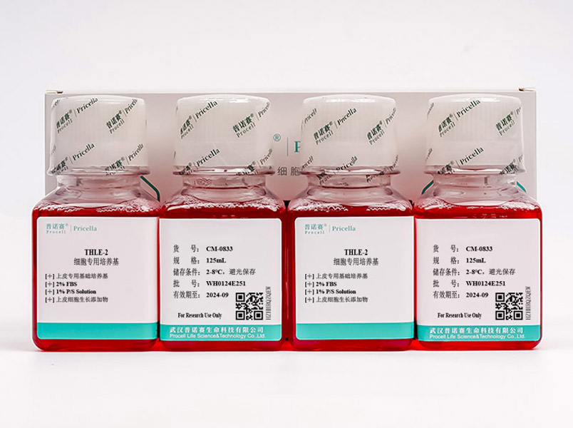 https://789.bio/ec/yaD84C